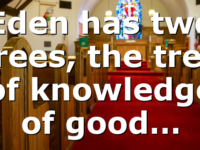 Eden has two trees, the tree of knowledge of good…