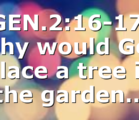 GEN.2:16-17, Why would God place a tree in the garden…