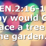 GEN.2:16-17, Why would God place a tree in the garden…