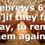 Hebrews 6:6 [6]if they fall away, to renew them again…