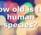 How old is the human species?