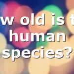 How old is the human species?