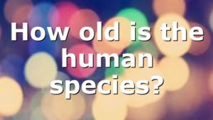 How old is the human species?