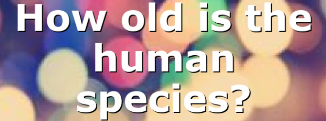 How old is the human species?