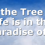 If the Tree of life is in the paradise of…