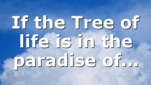 If the Tree of life is in the paradise of…
