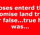 Moses enterd the promise land true or false…true he was…