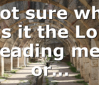 Not sure why (Is it the Lord leading me, or…