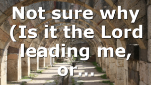 Not sure why (Is it the Lord leading me, or…