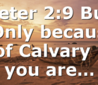 Peter 2:9 But (Only because of Calvary ) you are…