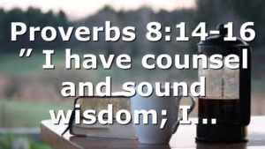 Proverbs 8:14-16 ” I have counsel and sound wisdom; I…