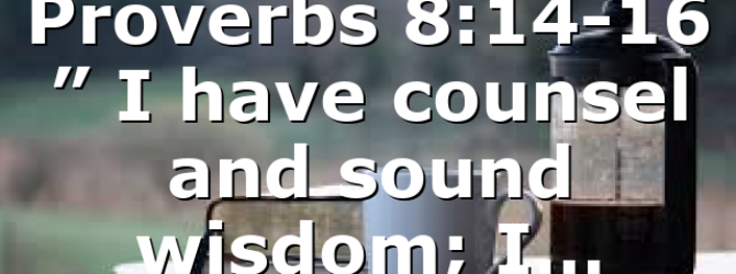 Proverbs 8:14-16 ” I have counsel and sound wisdom; I…