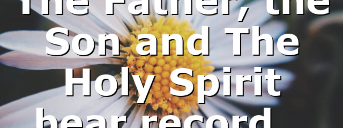 The Father, the Son and The Holy Spirit bear record… – All #ourCOG News