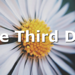 The Third Day
