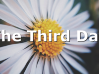 The Third Day