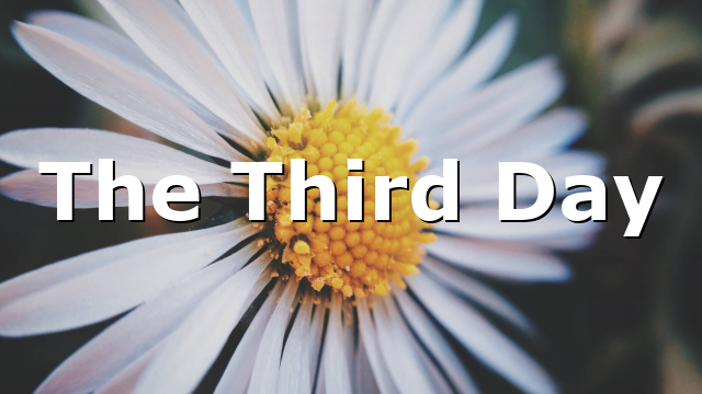 The Third Day