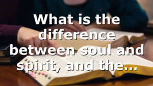 What is the difference between soul and spirit, and the…