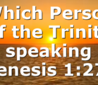 Which Person of the Trinity is speaking in Genesis 1:27?