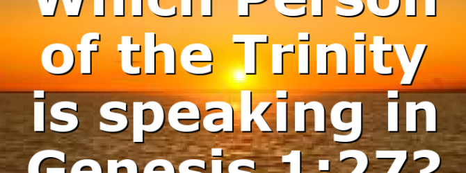 Which Person of the Trinity is speaking in Genesis 1:27?