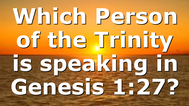 Which Person of the Trinity is speaking in Genesis 1:27?