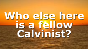 Who else here is a fellow Calvinist?