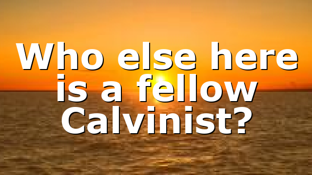 Who else here is a fellow Calvinist?
