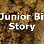 NCJunior Bible Story