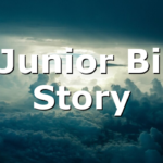 NCJunior Bible Story