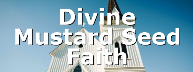 Divine Mustard Seed Faith