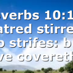 Proverbs 10:12 – Hatred stirreth up strifes: but love covereth…
