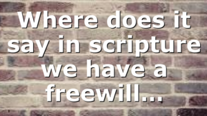 Where does it say in scripture we have a freewill…