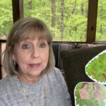 NCJunior Bible Story