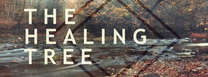 The Healing Tree | Jentezen Franklin