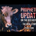 An Update On The Red Heifer – The Real Story | Perry Stone