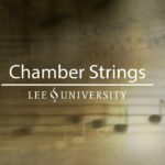 Chamber Strings Concert, November 11, 2016