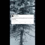 How One Defines Something Determines How One Sees Something