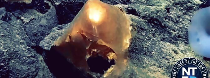 Researchers At National Oceanic and Atmospheric Administration Discover Mysterious ‘Glowing Orb’ Egg Two Miles Down Below The Surface In Alaska