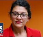 Democrat Michigan Congresswoman Rashida Tlaib Shows Support For Hamas With Palestinian Flag On Display Outside Her Office In Washington