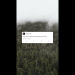 Jealousy is a Poison That Will Destroy Your Life