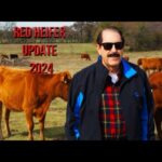 Back To Babylon :: By Daymond Duck