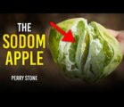 The Sodom Apple | Perry Stone
