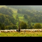 Lean on Your Staff: The Reason to Have Hope in Ministry