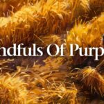 NTEB PROPHECY NEWS PODCAST: We Are Watching The Season Finale Of The United States Of America