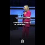 The Purpose of Pruning