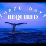 8/12/18 IPCOG SUNDAY WORSHIP EXPERIENCE