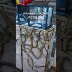 Adventures In Truth @ #IPCOG Experience the adventure. IPCOG.ORG #LoveGod #LoveOthers