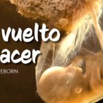 HE VUELTO A NACER By Anthony Cruz