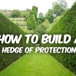 Hedge Of Protection By Dr. Bryan Cutshall