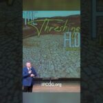 The Threshing Floor 1-4