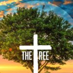 The Tree By Bishop D. Roberts